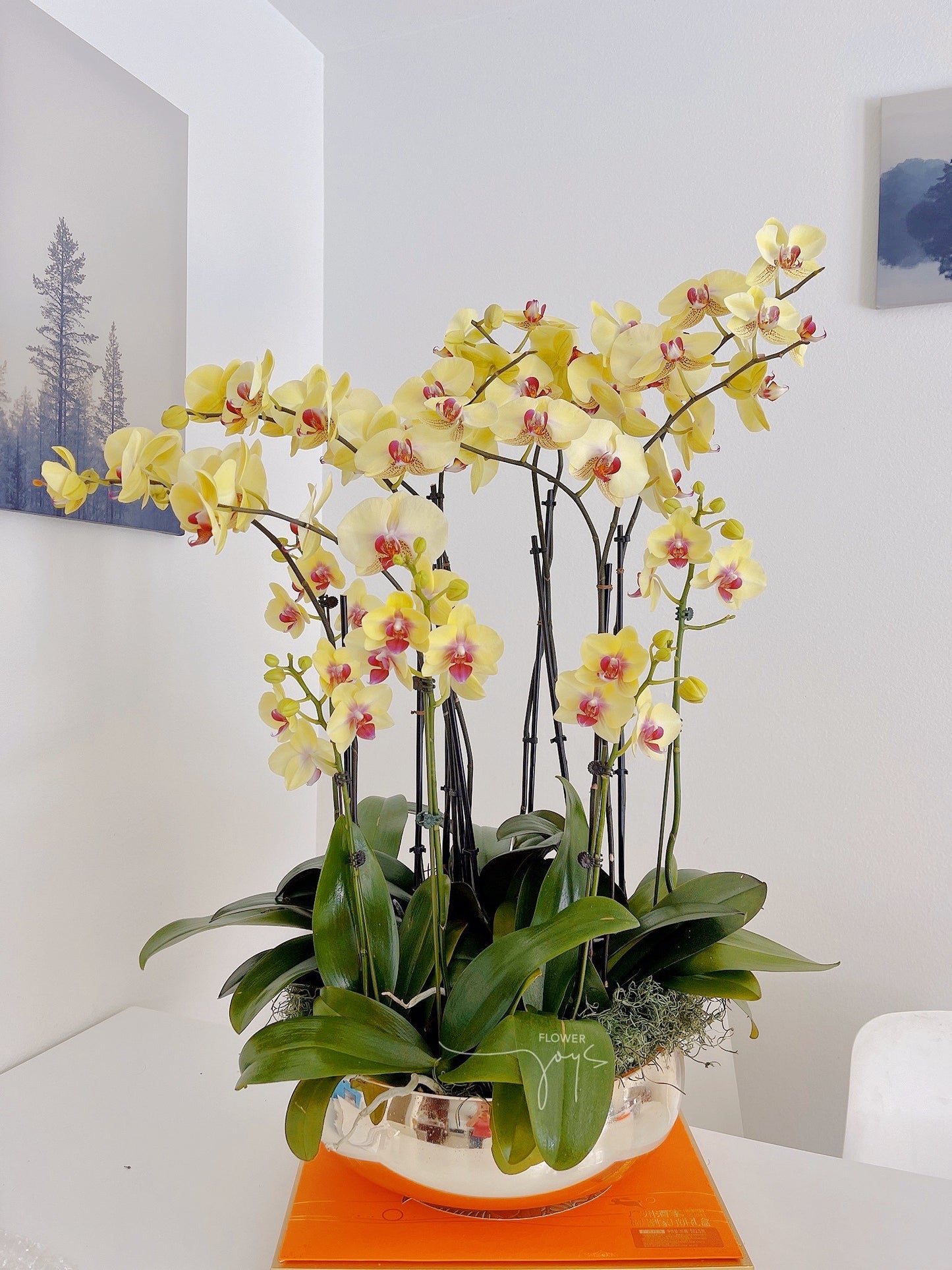 Unique Design - Orchid