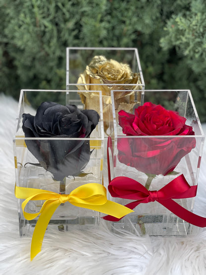 Rose in Clear Box