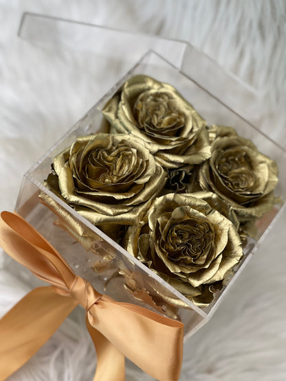 Rose in Clear Box