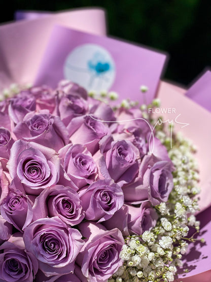 Lavender Roses